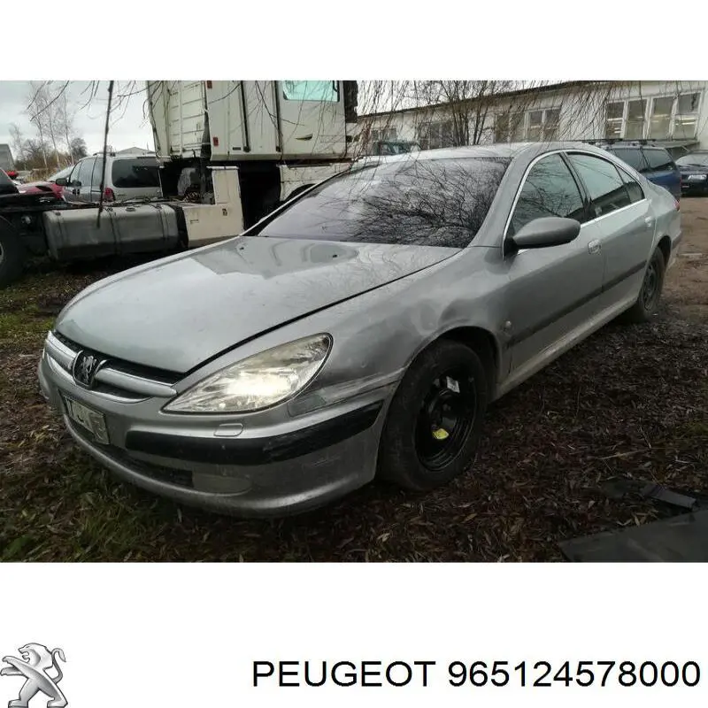 965124578000 Peugeot/Citroen 