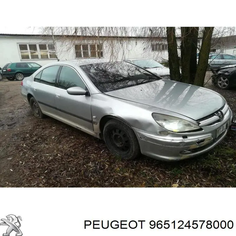 Купить 965124578000 Peugeot/Citroen 