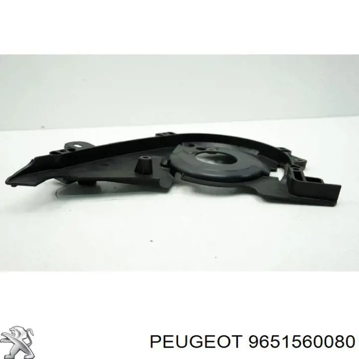 9651560080 Peugeot/Citroen 