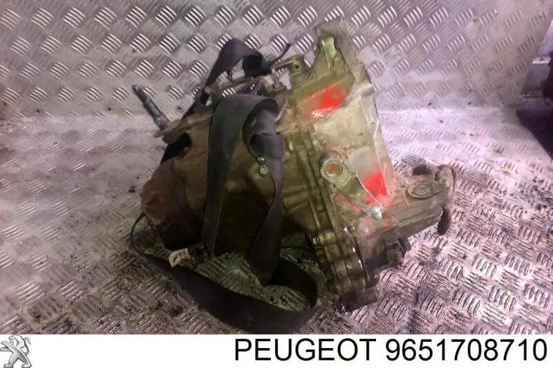  9651708710 Peugeot/Citroen