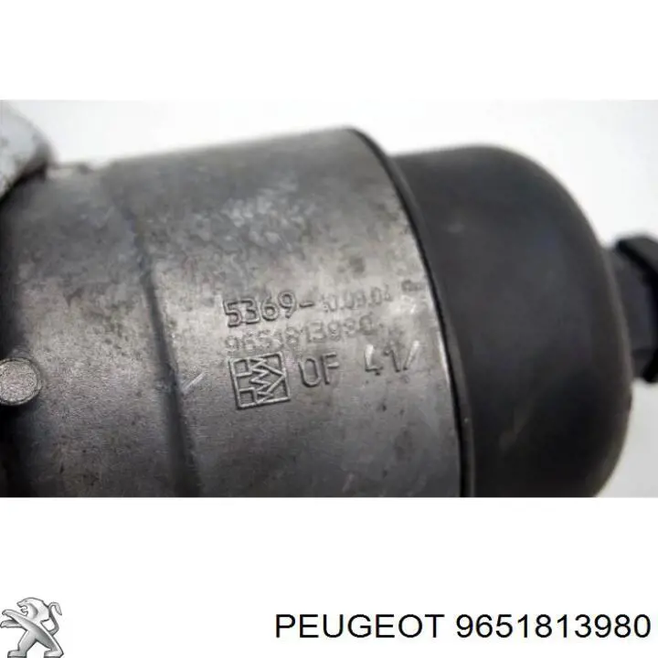 Купить 9651813980 Peugeot/Citroen Корпус масляного фильтра