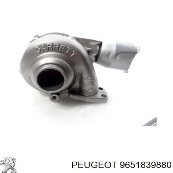 9651839880 Peugeot/Citroen turbina