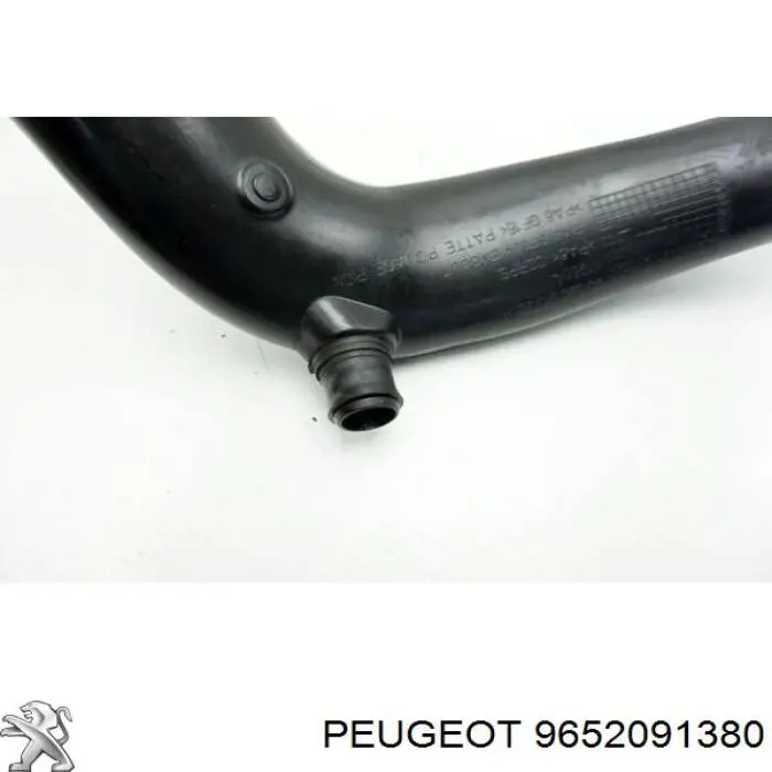 9652091380 Peugeot/Citroen 