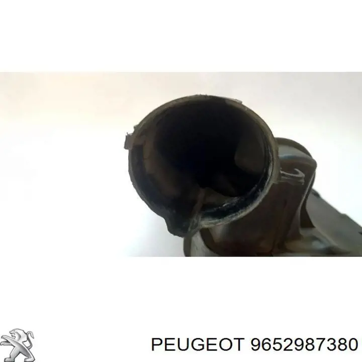 9652987380 Peugeot/Citroen 