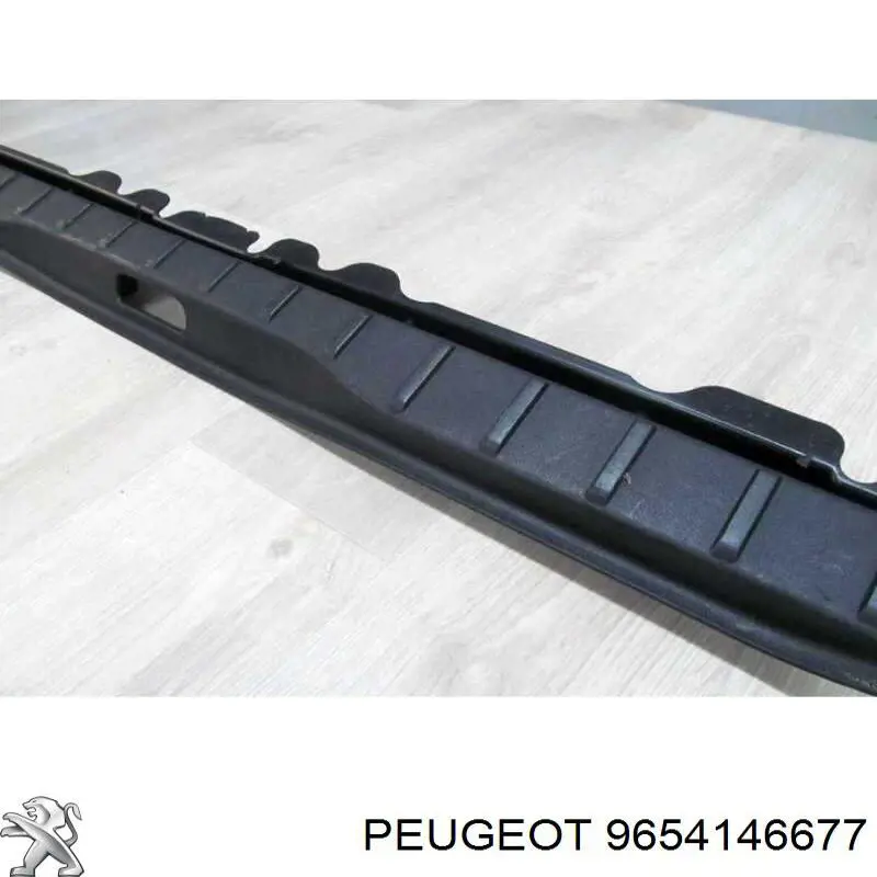 9654146677 Peugeot/Citroen 
