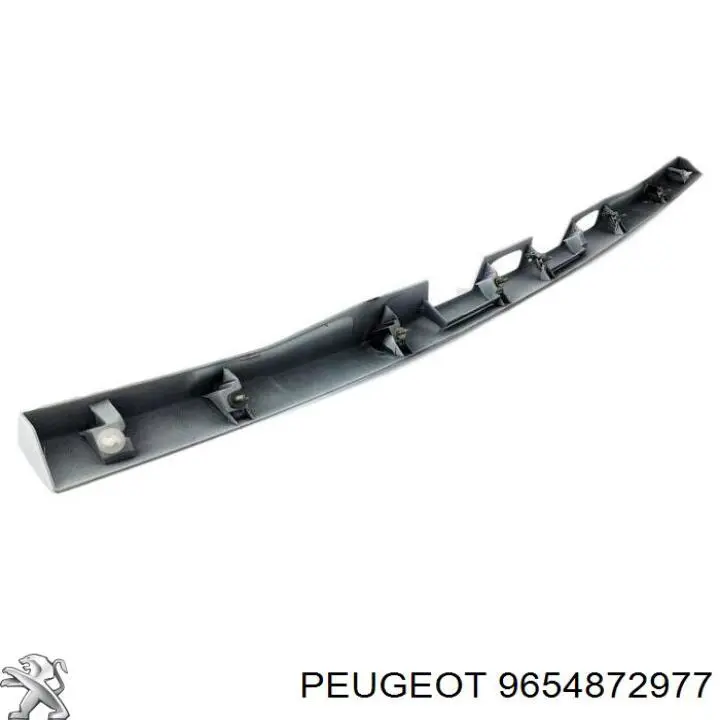 9654872977 Peugeot/Citroen 