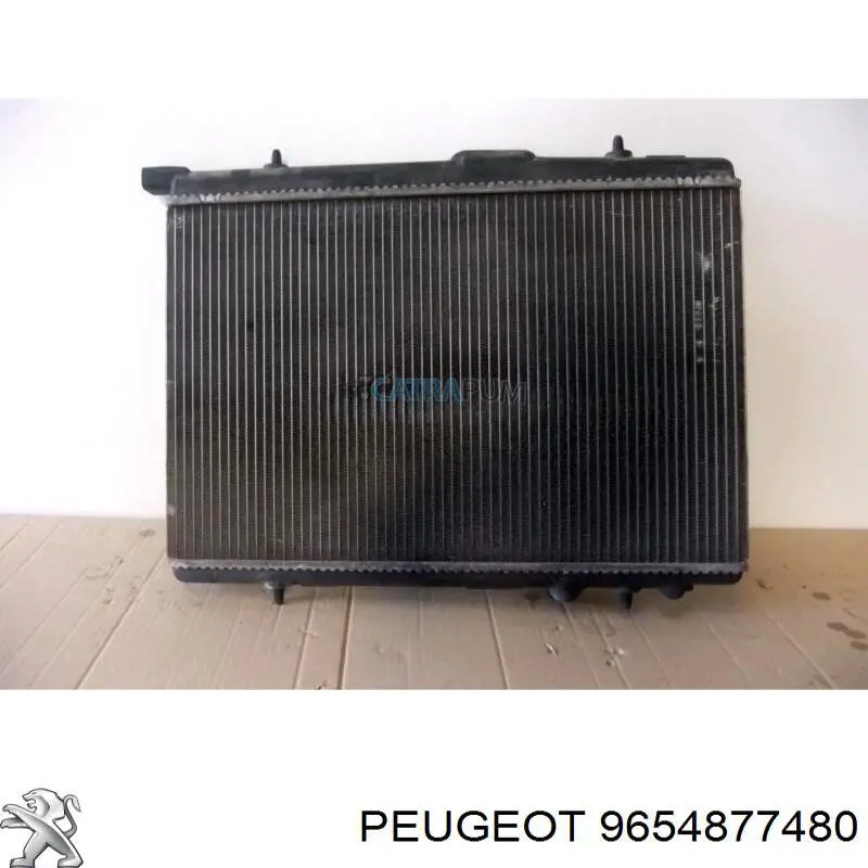 9654877480 Peugeot/Citroen 
