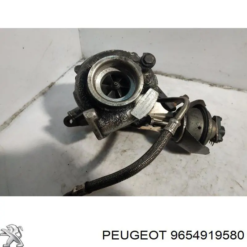 9654919580 Peugeot/Citroen turbina