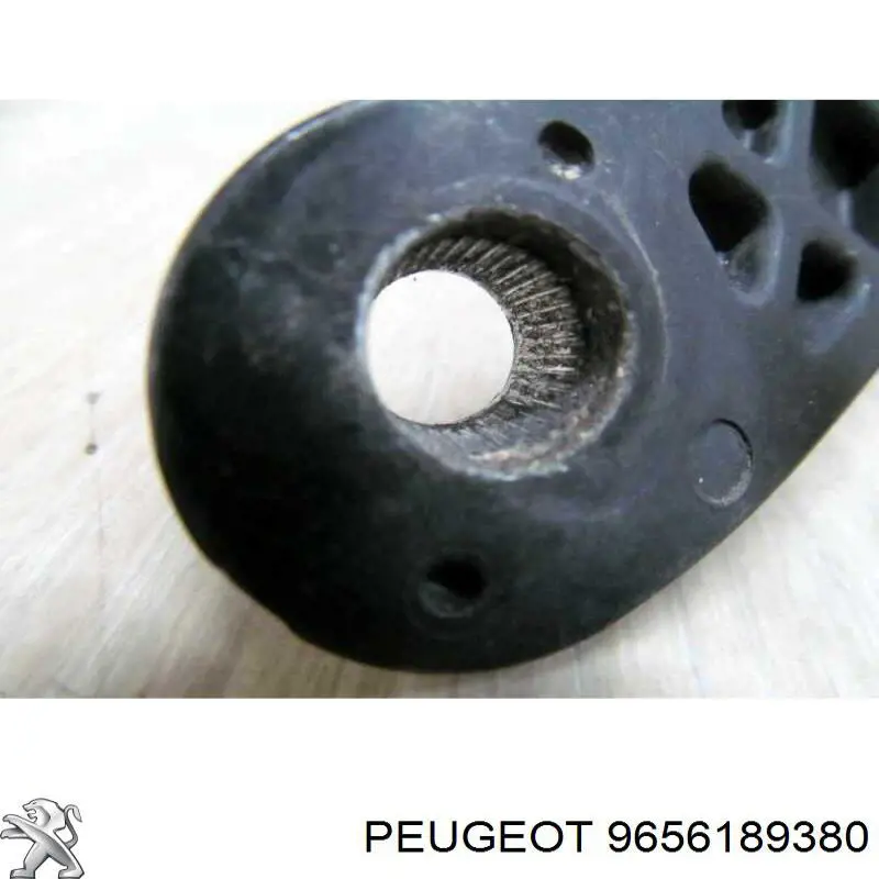 9656189380 Peugeot/Citroen 
