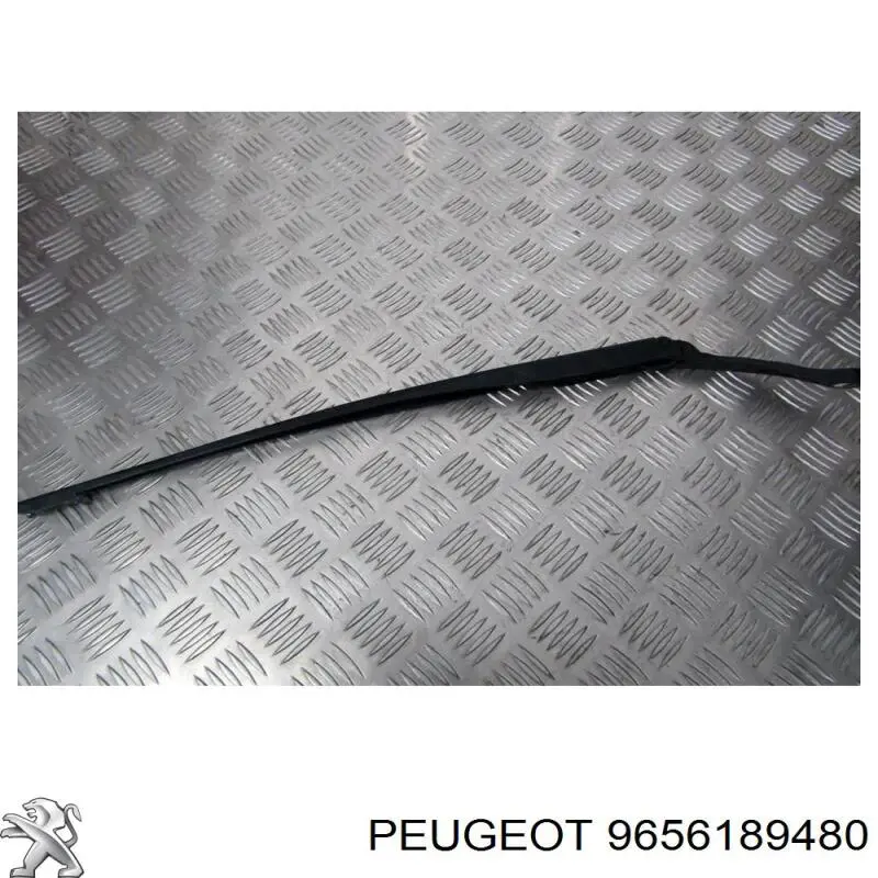 9656189480 Peugeot/Citroen 