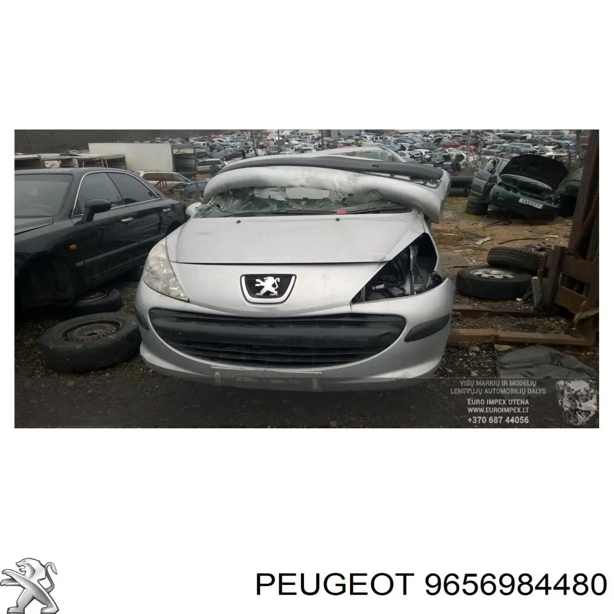 9656984480 Peugeot/Citroen 