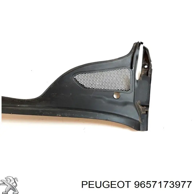 9657173977 Peugeot/Citroen 