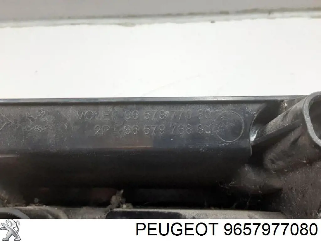 Купить 9657977080 Peugeot/Citroen Левый стоп