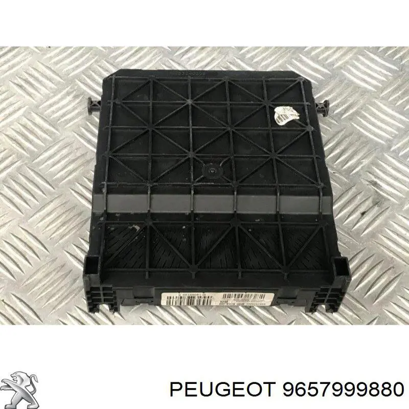  9657999880 Peugeot/Citroen