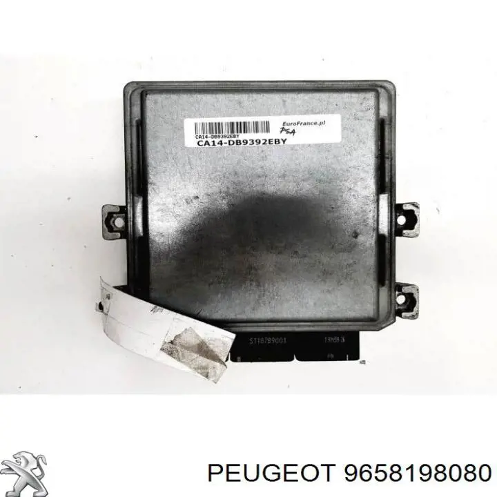9658198080 Peugeot/Citroen 