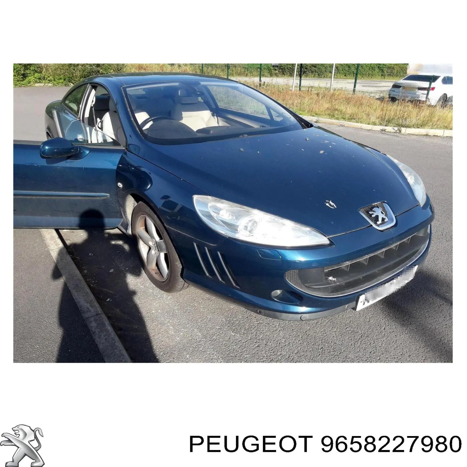 9658227980 Peugeot/Citroen катушка