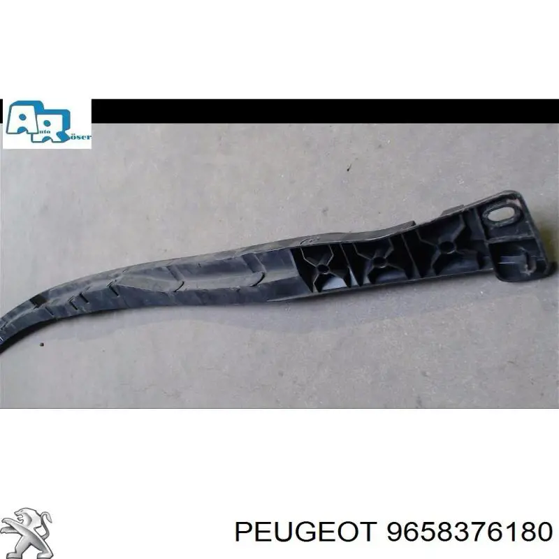 9658376180 Peugeot/Citroen 