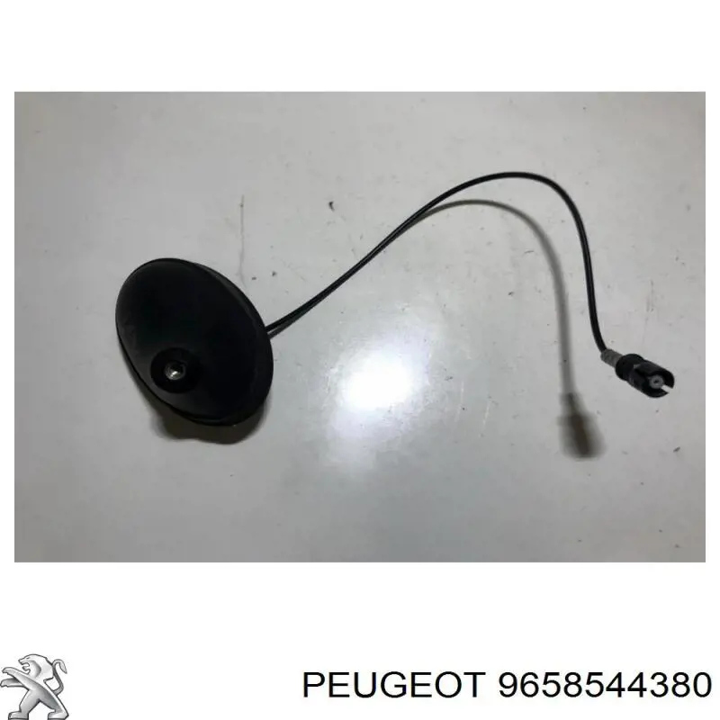 Купить 9658544380 Peugeot/Citroen 