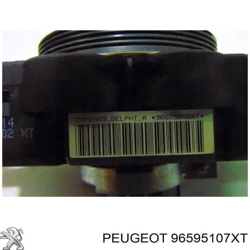96595107XT Peugeot/Citroen 