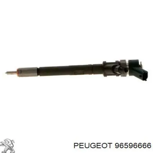 96596666 Peugeot/Citroen injetor de injeção de combustível