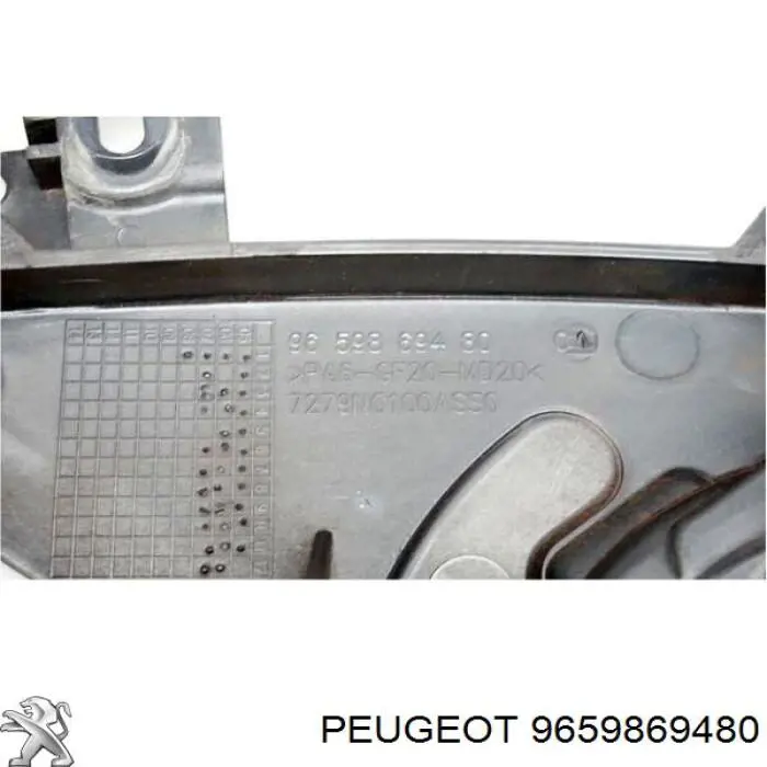 9659869480 Peugeot/Citroen 