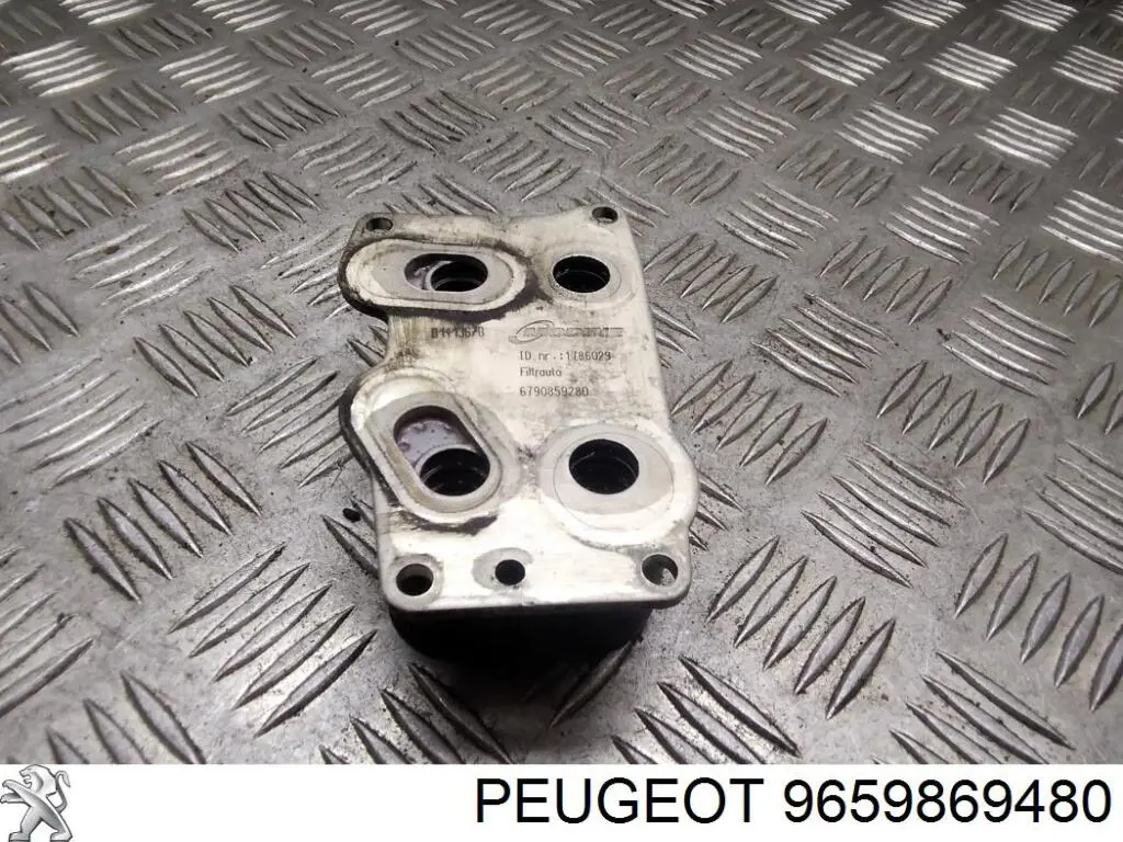 Купить 9659869480 Peugeot/Citroen 