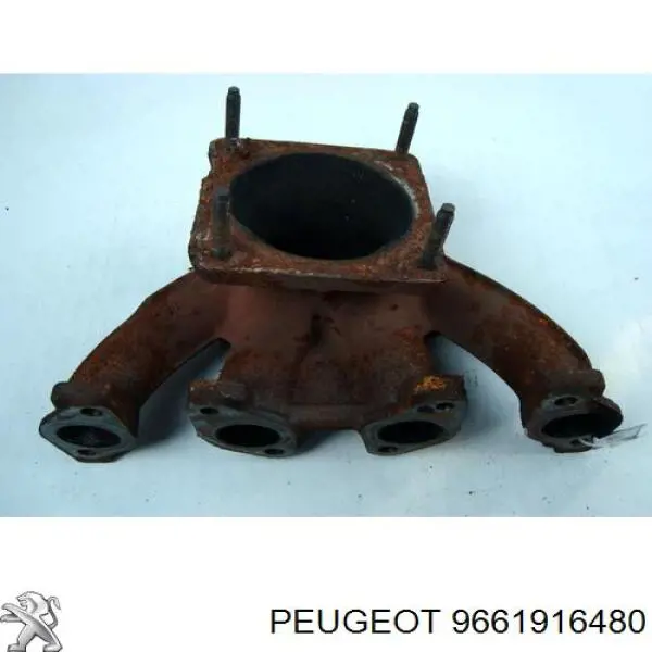  9661916480 Peugeot/Citroen