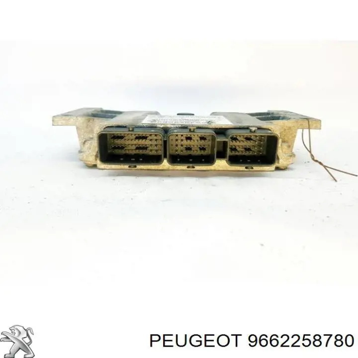 9662258780 Peugeot/Citroen 