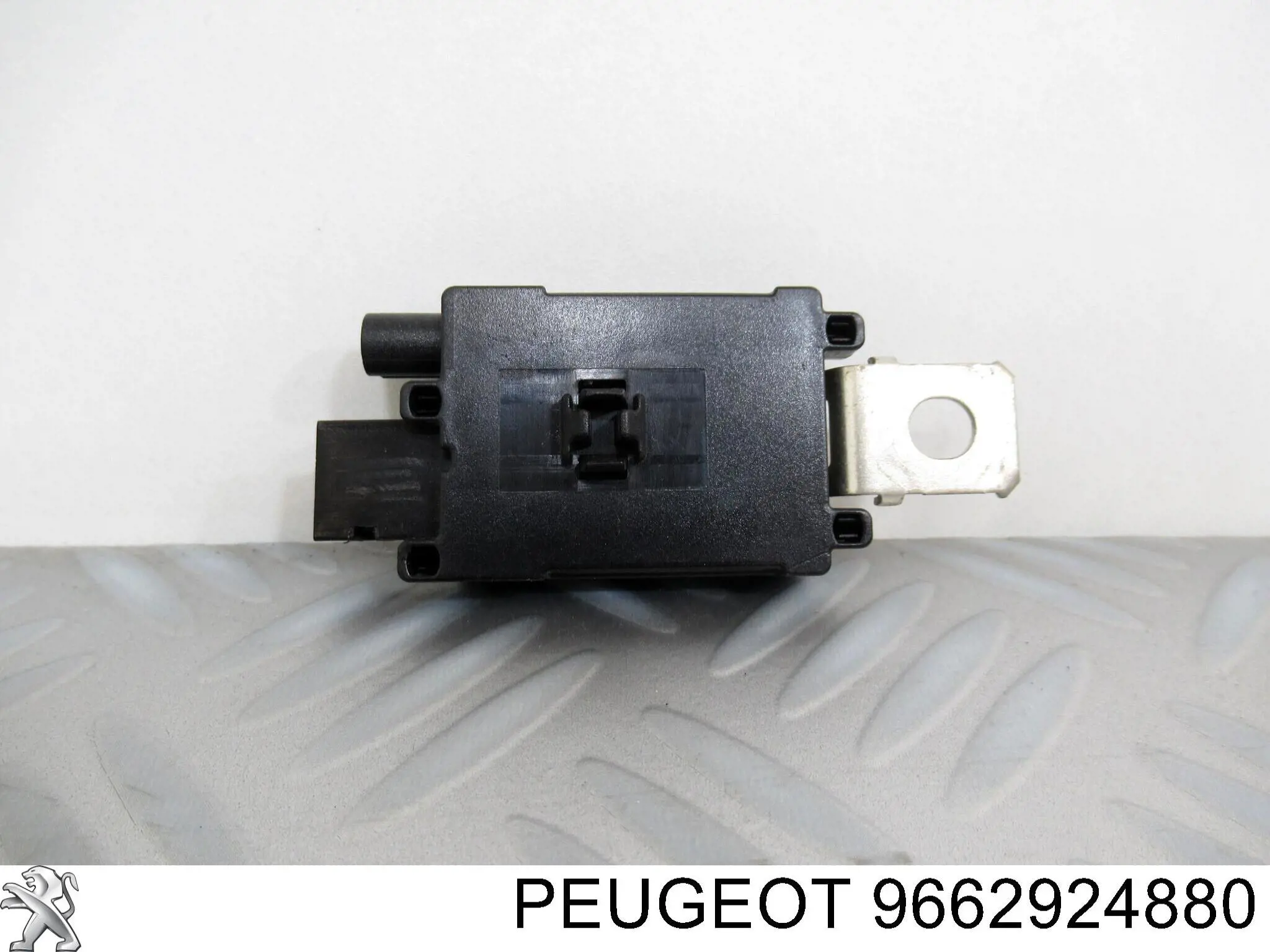  9662924880 Peugeot/Citroen