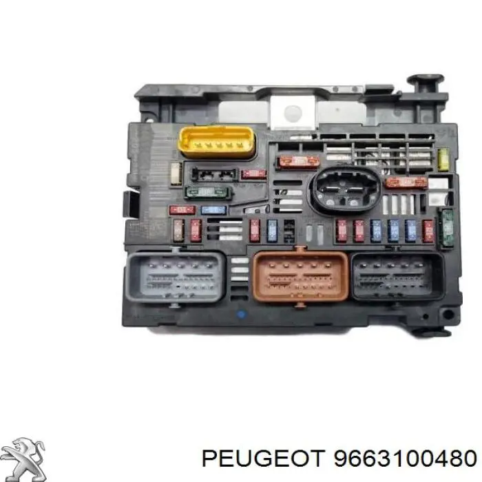 9663100480 Peugeot/Citroen 