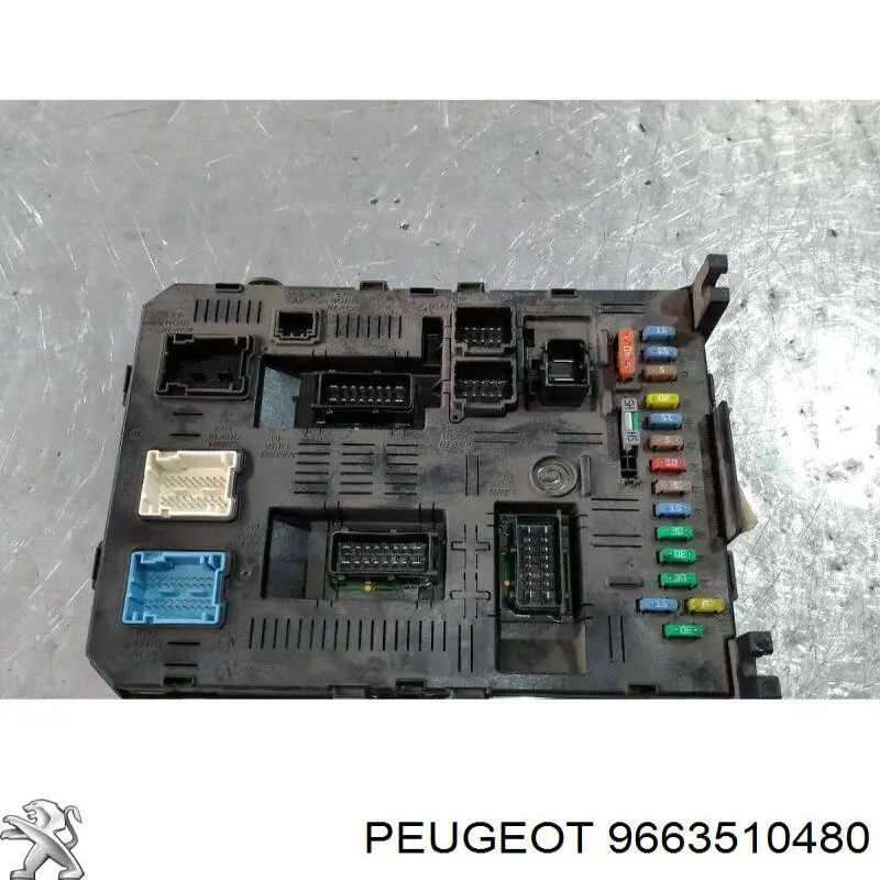 9663510480 Peugeot/Citroen 