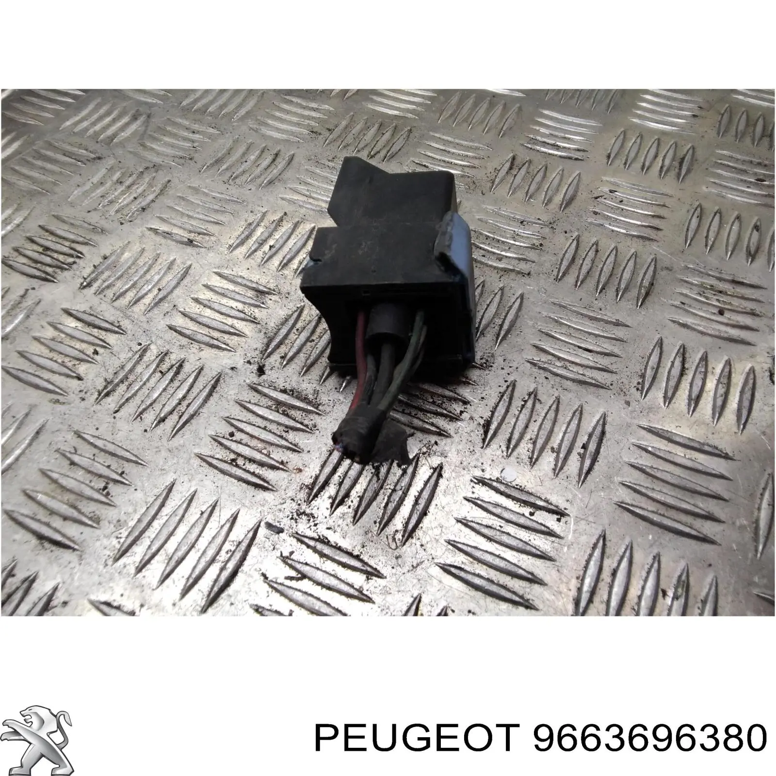 9663696380 Peugeot/Citroen 