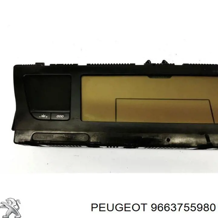 9663755980 Peugeot/Citroen 