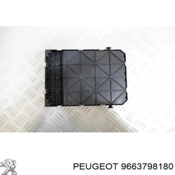 Купить 9663798180 Peugeot/Citroen 