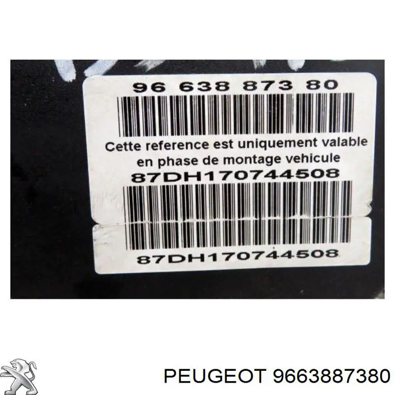9663887380 Peugeot/Citroen 