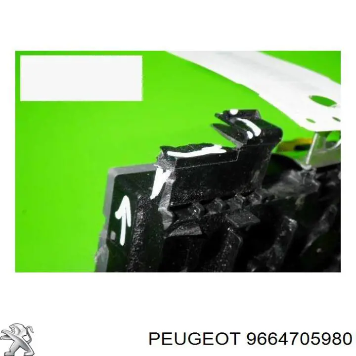 9664705980 Peugeot/Citroen 