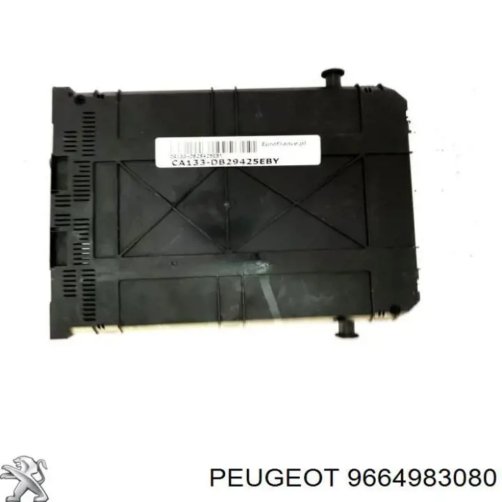  9664983080 Peugeot/Citroen