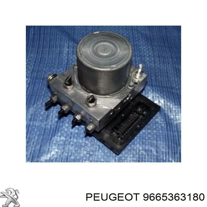 9665363180 Peugeot/Citroen 