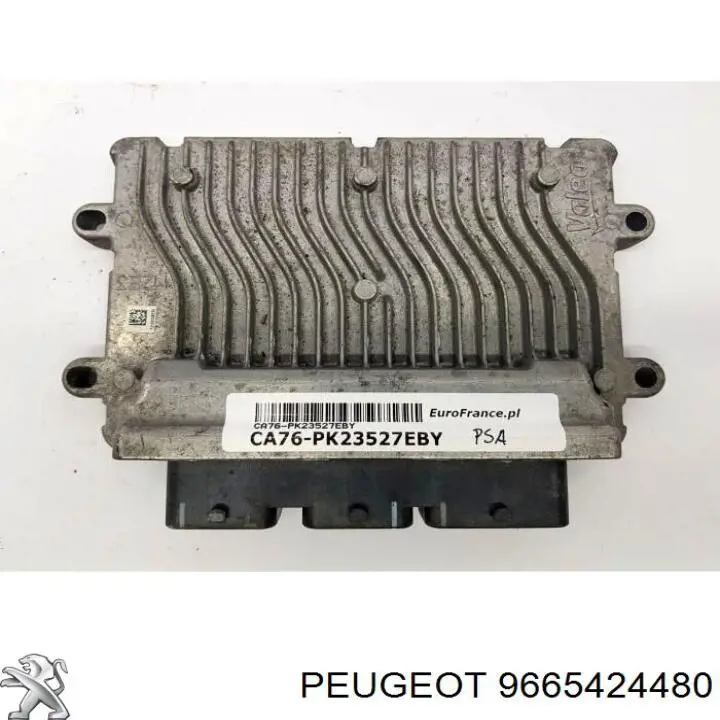 9665424480 Peugeot/Citroen 