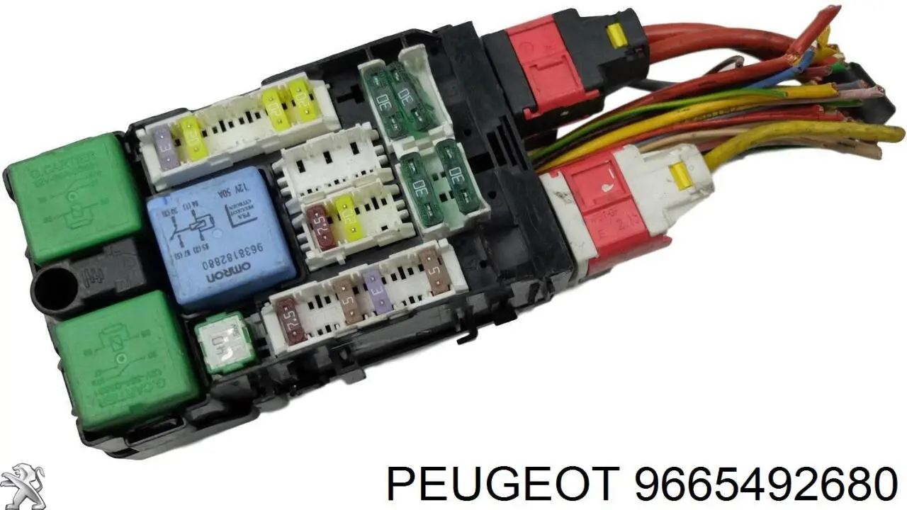  9665492680 Peugeot/Citroen