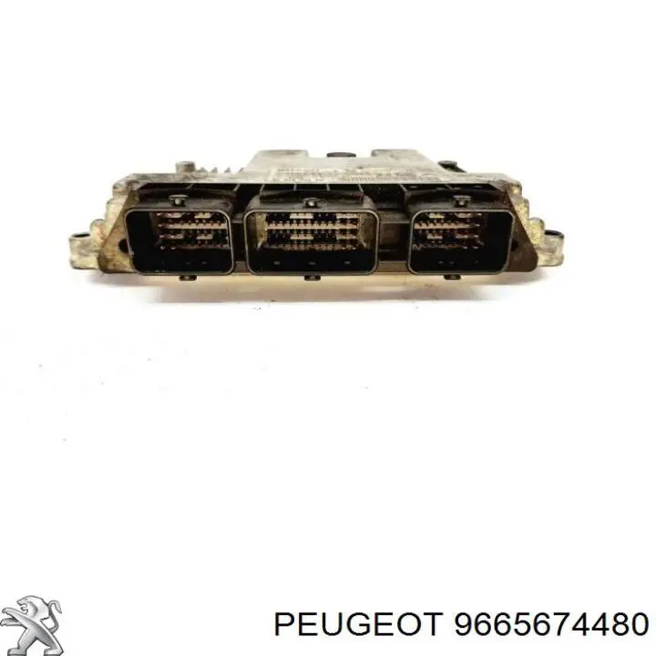 9665674480 Peugeot/Citroen 