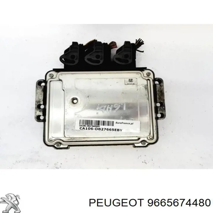 9665674480 Peugeot/Citroen