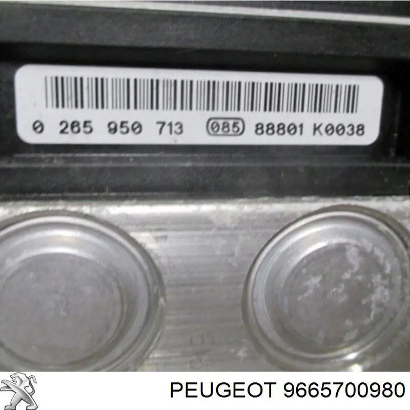  9665700980 Peugeot/Citroen