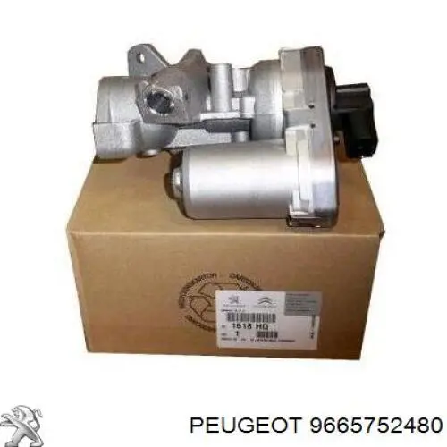 9665752480 Peugeot/Citroen válvula egr de recirculação dos gases
