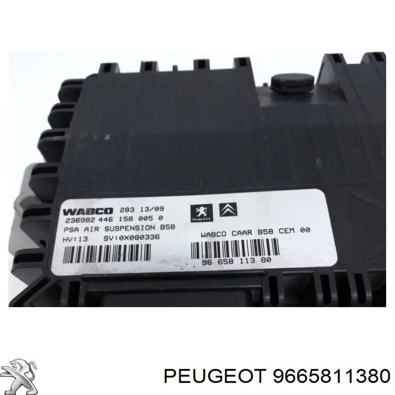 9665811380 Peugeot/Citroen 