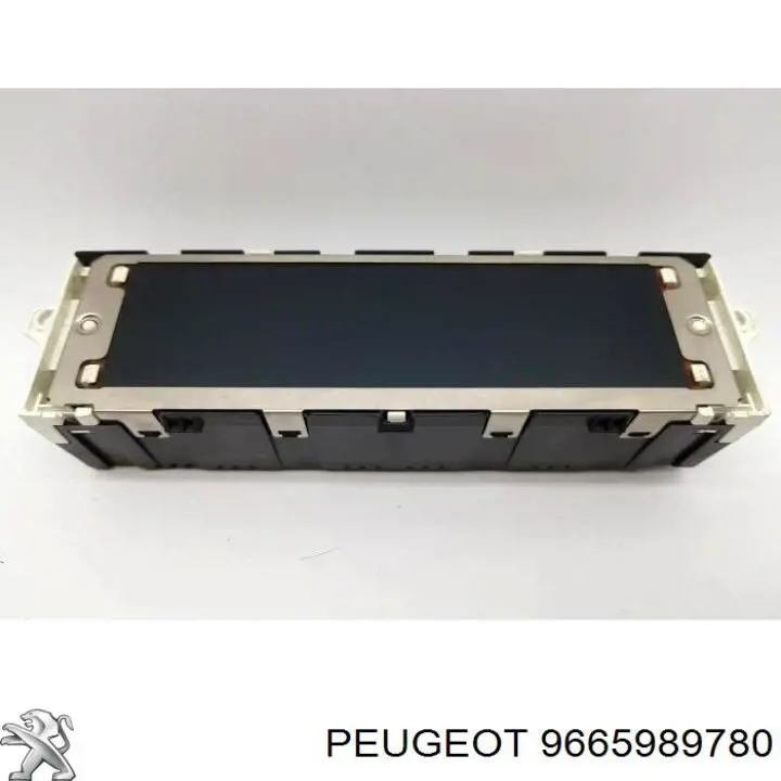 9665989780 Peugeot/Citroen 