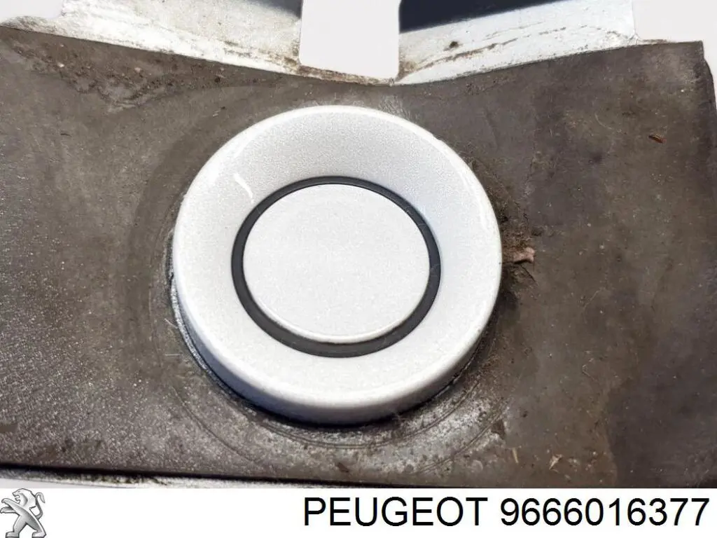 9666016377 Peugeot/Citroen