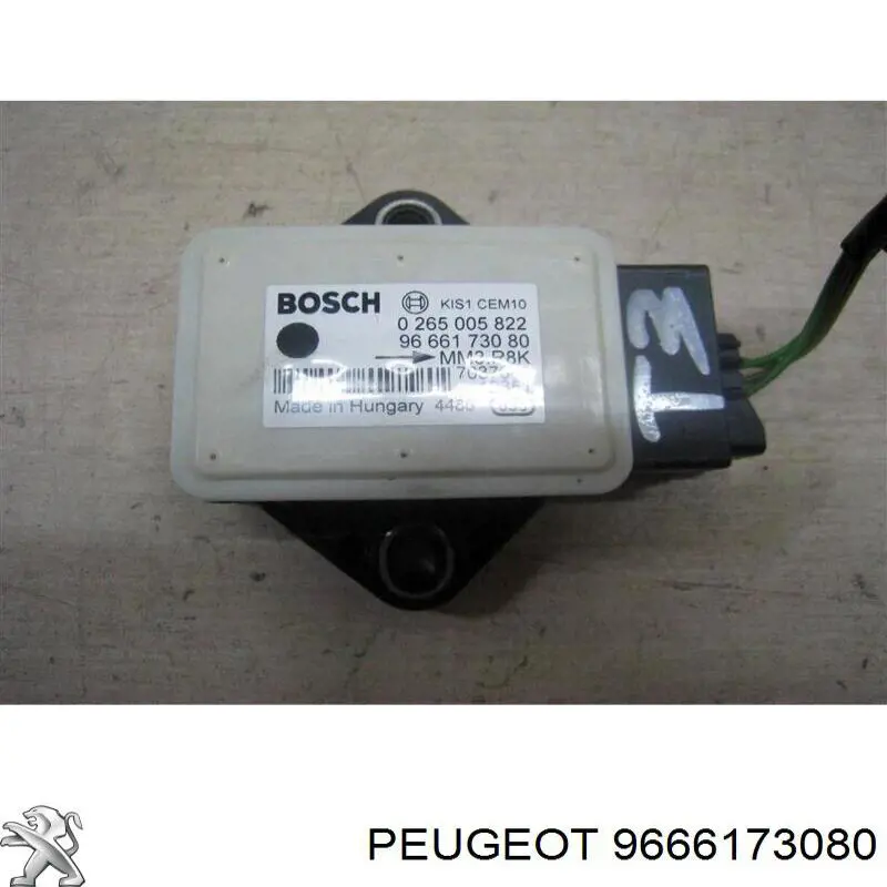 9666173080 Peugeot/Citroen 