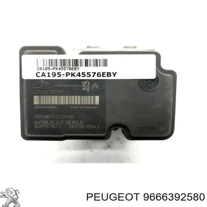 9666392580 Peugeot/Citroen 