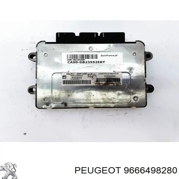9666498280 Peugeot/Citroen 